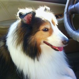 Meet your Posher, Michele